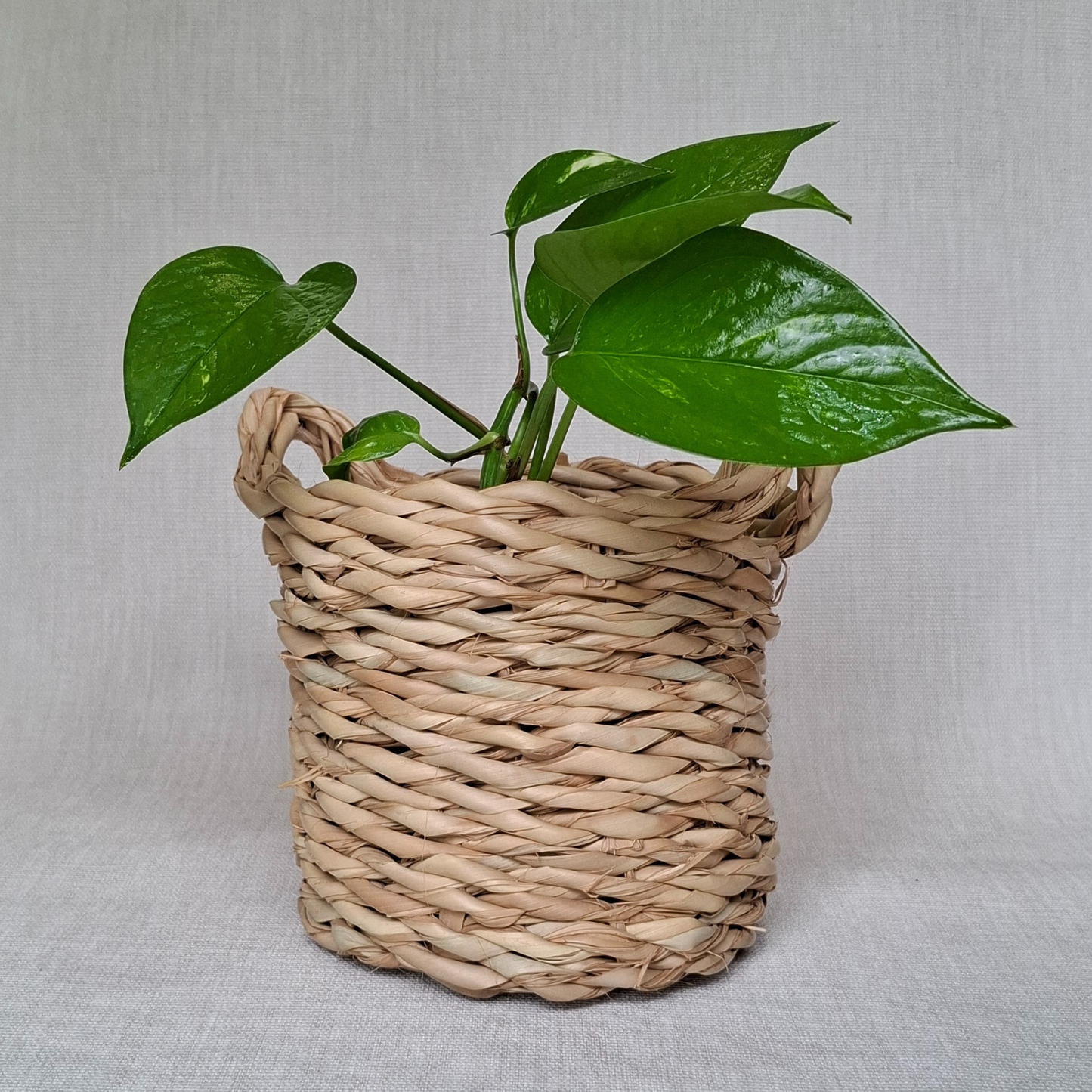 Woven Basket - Oatmeal Twist