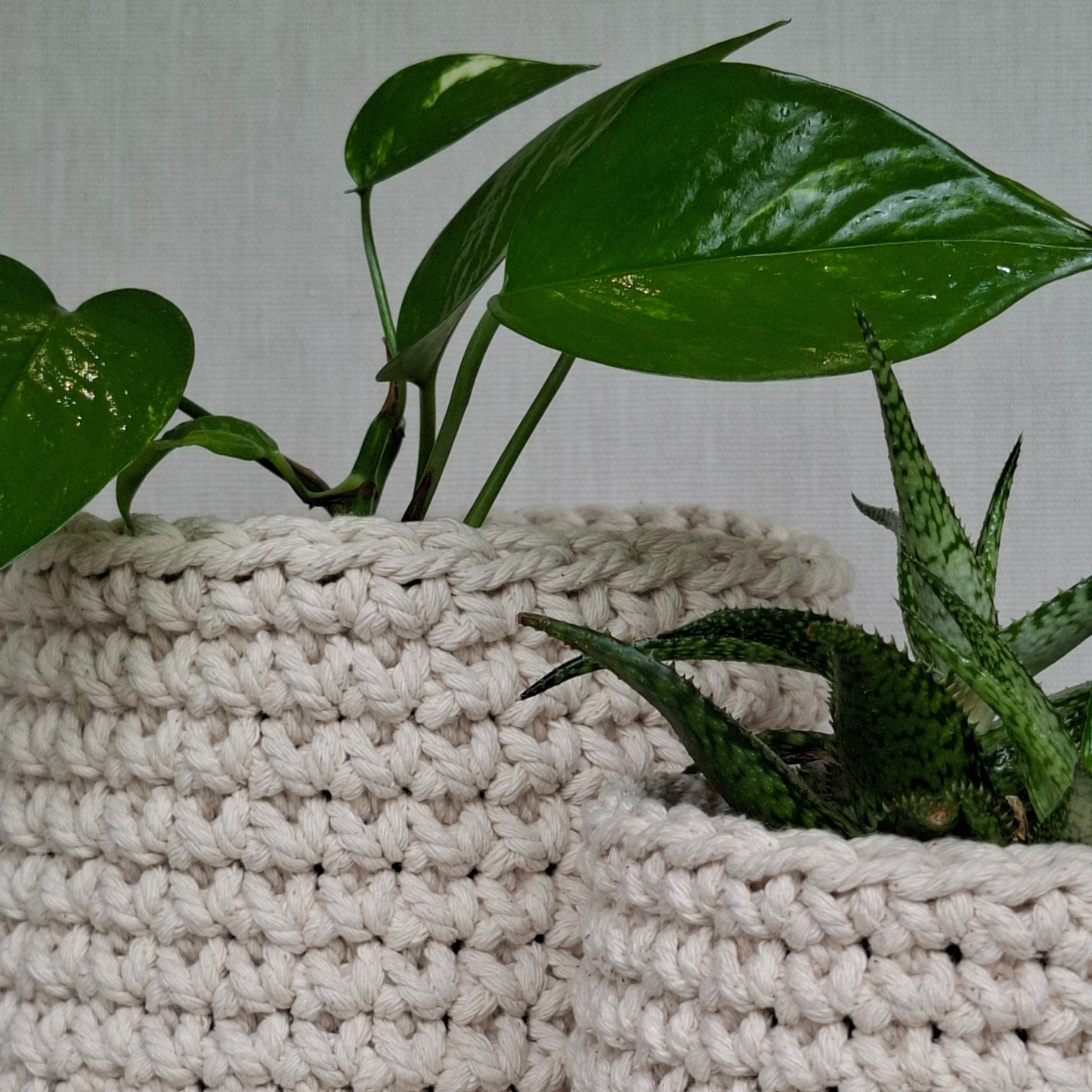 Cotton Twine Basket