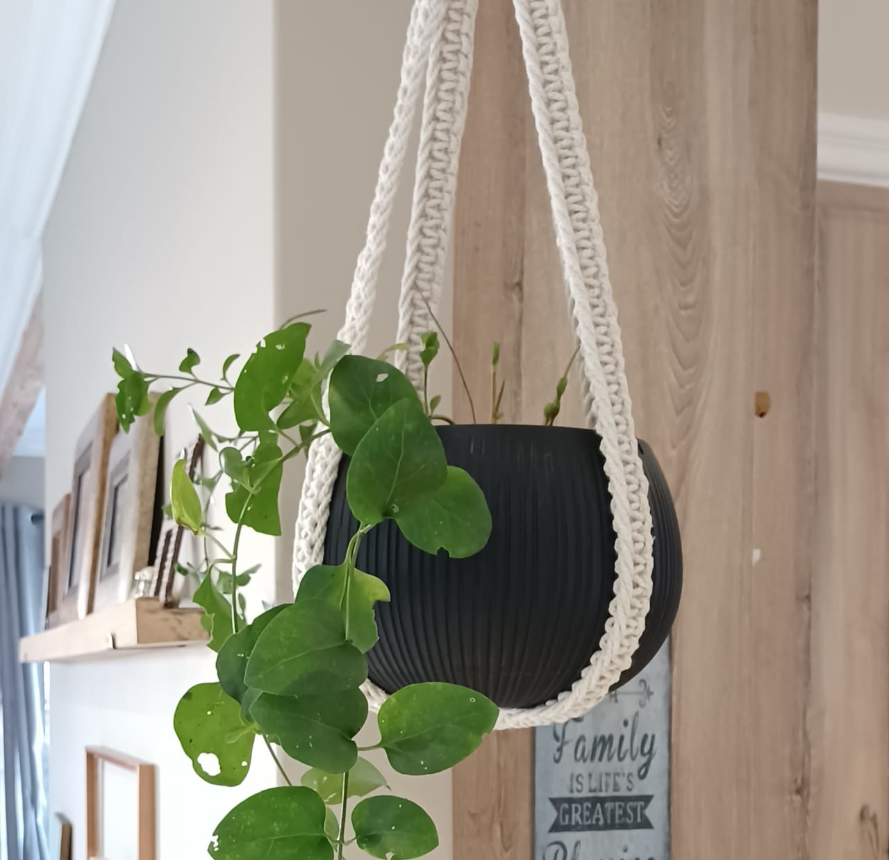 Hanging Basket